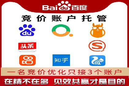 百度推广策略揭秘：某行业领头羊的成功经验